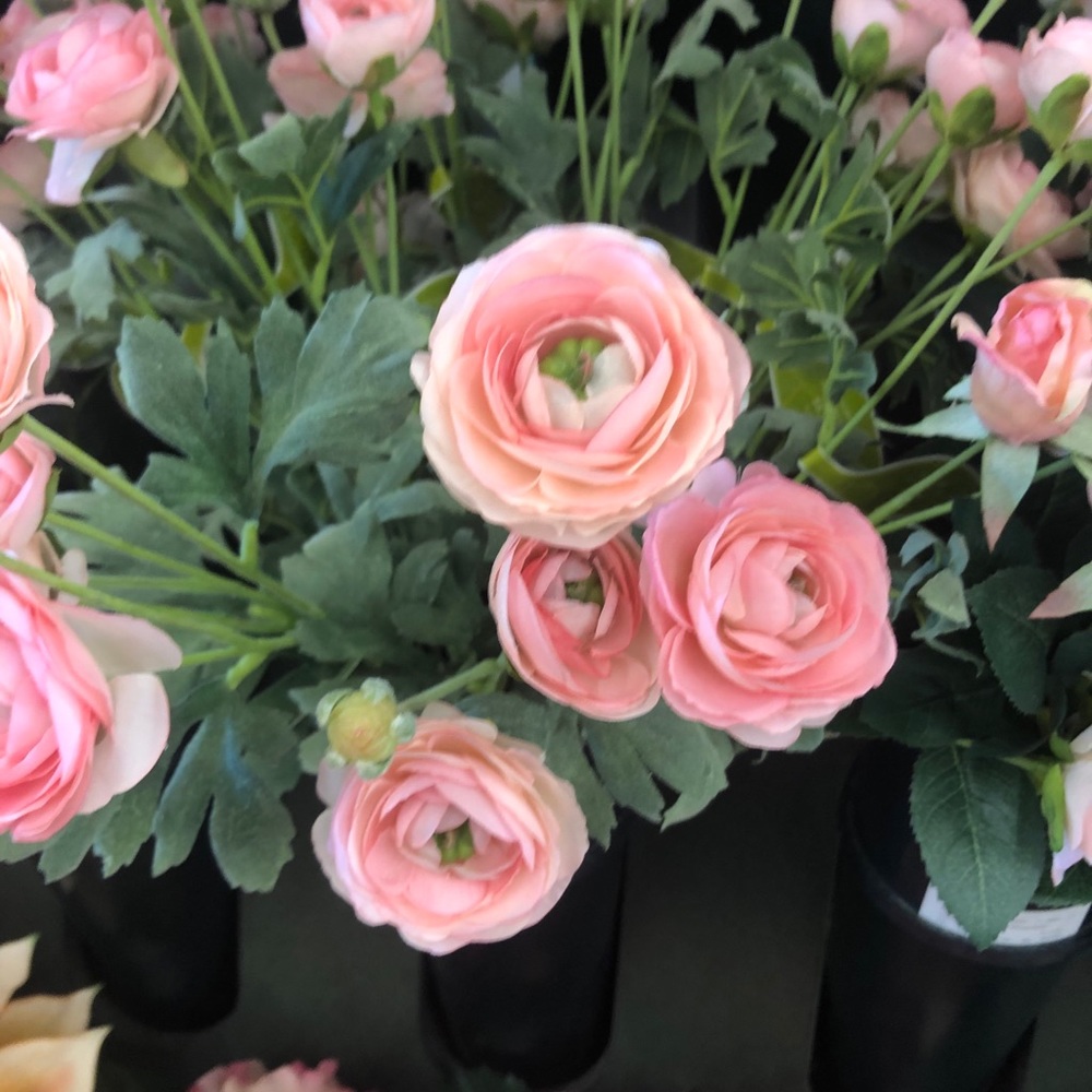 Meet your Posher, Stacey